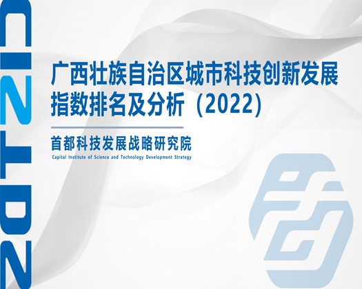 嗯啊哈啊好大插我在线观看【成果发布】广西壮族自治区城市科技创新发展指数排名及分析（2022）